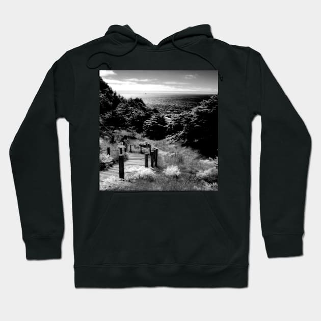 Land's End - San Francisco Hoodie by rodneyj46